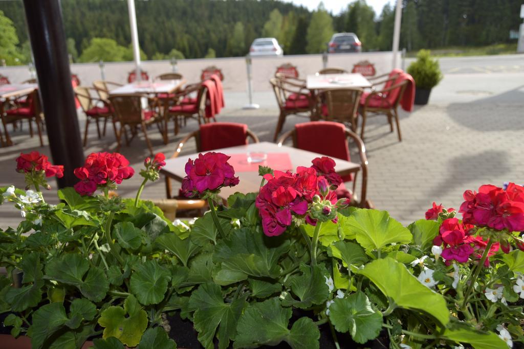 Verde Rosa Harrachov Dış mekan fotoğraf